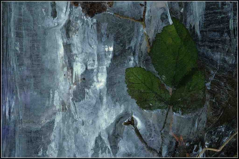 Clicca per l'immagine full size