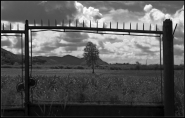 Nome File=gate_with_a_view__mm.jpg
Dimensione File=334KB
Dimensioni=1024x654
Data aggiunta=Gen 06, 2014 gate_with_a_view__mm.jpg