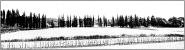 Nome File=Paesaggio.jpg
Dimensione File=311KB
Dimensioni=1200x325
Data aggiunta=Feb 05, 2012 Paesaggio.jpg