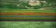 Nome File=fioritura_-_scenografia_naturale_mm.jpg
Dimensione File=447KB
Dimensioni=1200x600
Data aggiunta=Giu 27, 2012 fioritura_-_scenografia_naturale_mm.jpg