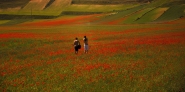 Nome File=fioritura_ragazzi.jpg
Dimensione File=471KB
Dimensioni=1200x600
Data aggiunta=Giu 26, 2012 fioritura_ragazzi.jpg