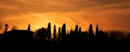 tramonto_silhouette_1_(1)_3_mm.jpg