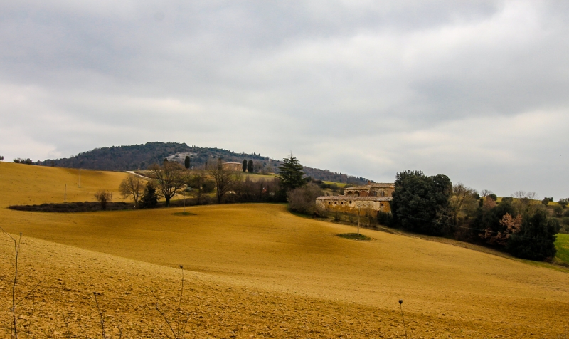 Clicca per l'immagine full size