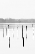Nome File=Cecchi_Marco_1.jpg
Dimensione File=54KB
Dimensioni=536x821
Data aggiunta=Giu 05, 2012 Cecchi_Marco_1.jpg