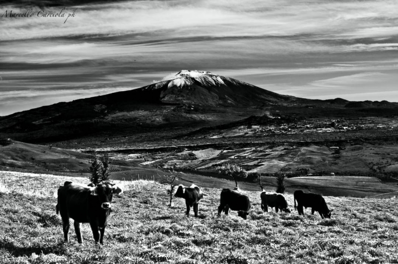 Clicca per l'immagine full size