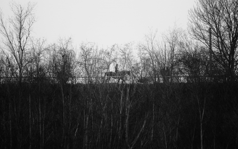 Clicca per l'immagine full size