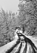 IMG_9744_2_web.jpg IMG_9744_2_web.jpg