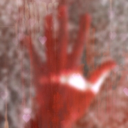 amore_rosa_nel_mio_album.jpg amore_rosa_nel_mio_album.jpg