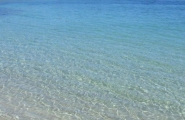 Nome File=mare_mio.jpg
Dimensione File=149KB
Dimensioni=1000x654
Data aggiunta=Lug 20, 2013 mare_mio.jpg