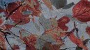 profumo_d_autunno.jpg profumo_d_autunno.jpg