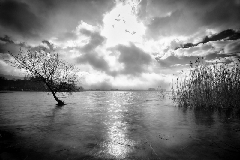 Clicca per l'immagine full size