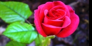 n25.jpg n25.jpg