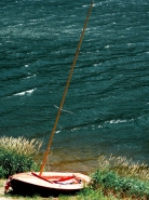 n40.jpg