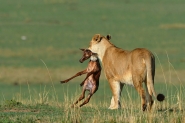DSC_7505_bassa.jpg DSC_7505_bassa.jpg
