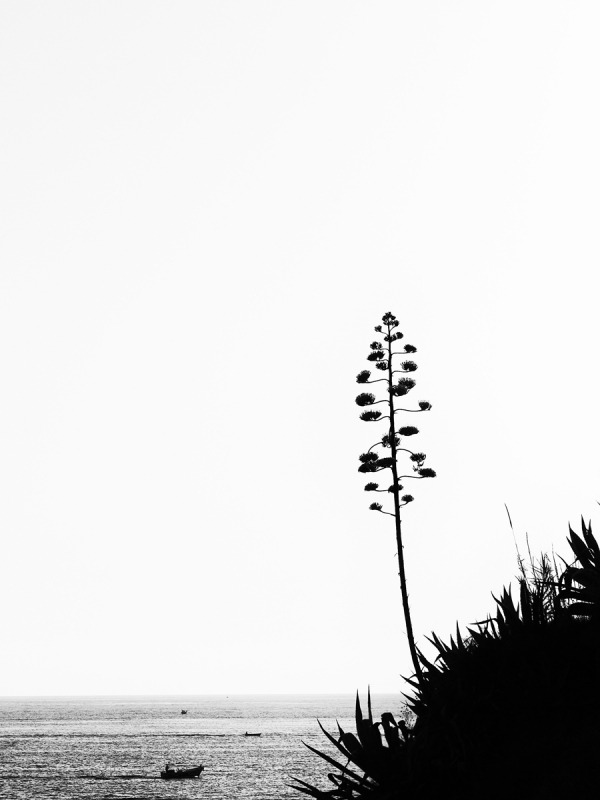 Clicca per l'immagine full size