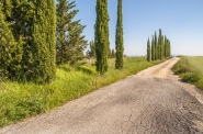 Nome File=(fatte)-Val_d_Orcia_(3).jpg
Dimensione File=529KB
Dimensioni=1200x797
Data aggiunta=Mag 12, 2016 (fatte)-Val_d_Orcia_(3).jpg