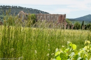 Abazia-di-San-Galgano-102.jpg