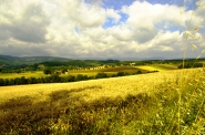 Strada_per_Galliano_005.jpg