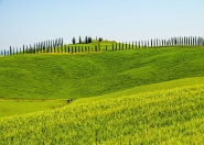 Val_d_Orcia_(14).jpg