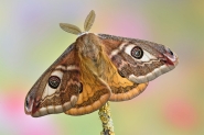 Nome File=aaaaa.jpg
Dimensione File=575KB
Dimensioni=1200x800
Data aggiunta=Mar 26, 2017 aaaaa.jpg