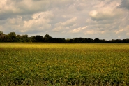 DSC_0040_1.jpg DSC_0040_1.jpg