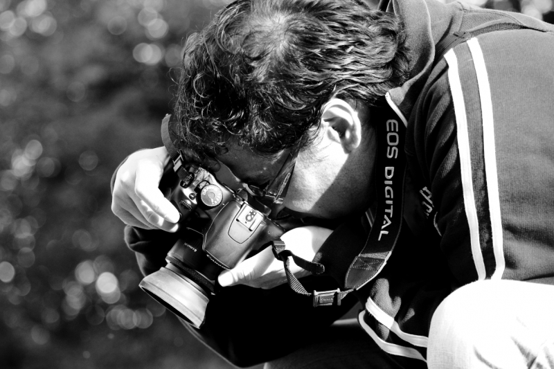Clicca per l'immagine full size