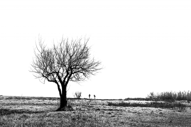 Clicca per l'immagine full size