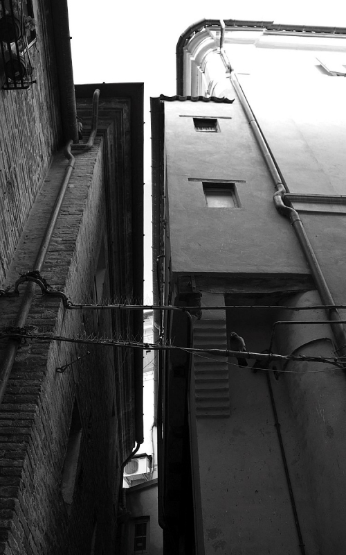 Clicca per l'immagine full size