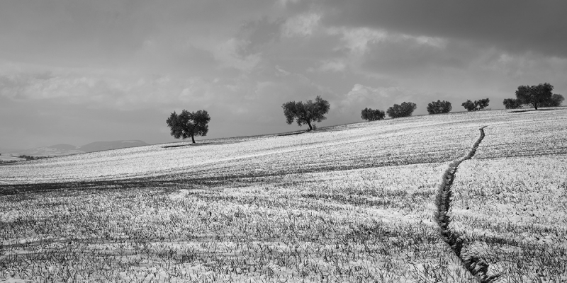 Clicca per l'immagine full size