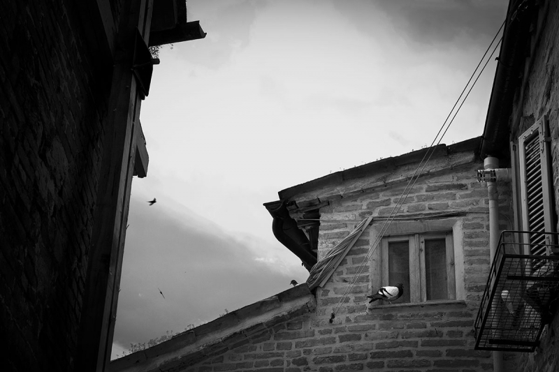 Clicca per l'immagine full size