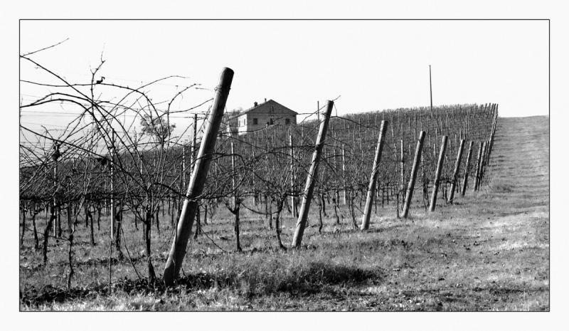 Clicca per l'immagine full size