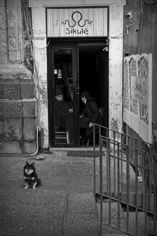Clicca per l'immagine full size