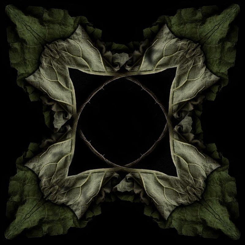 Clicca per l'immagine full size