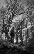 Nome File=5-0D0A3826-MM.jpg
Dimensione File=582KB
Dimensioni=719x1150
Data aggiunta=Dic 10, 2023 5-0D0A3826-MM.jpg