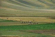 Nome File=Balle!_MM1.jpg
Dimensione File=314KB
Dimensioni=1152x768
Data aggiunta=Set 12, 2019 Balle!_MM1.jpg
