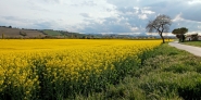 Nome File=GIALLO_MM.jpg
Dimensione File=294KB
Dimensioni=1200x600
Data aggiunta=Dic 06, 2019 GIALLO_MM.jpg