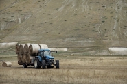 Nome File=X_-_tractor_MM.jpg
Dimensione File=315KB
Dimensioni=1152x768
Data aggiunta=Set 13, 2019 X_-_tractor_MM.jpg