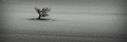 Nome File=daSOLO_(1200x400).jpg
Dimensione File=130KB
Dimensioni=1200x400
Data aggiunta=Feb 23, 2018 daSOLO_(1200x400).jpg