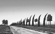 Nome File=la_retta_via.jpg
Dimensione File=342KB
Dimensioni=1200x750
Data aggiunta=Set 09, 2014 la_retta_via.jpg