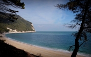 Nome File=summer_on_a_solitary_beach_MM.jpg
Dimensione File=225KB
Dimensioni=1200x750
Data aggiunta=Nov 17, 2017 summer_on_a_solitary_beach_MM.jpg