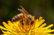 DSC_4821_web.jpg