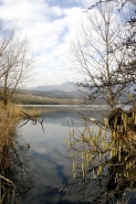 Nome File=lago_piccolo.jpg
Dimensione File=494KB
Dimensioni=800x1200
Data aggiunta=Nov 09, 2012 lago_piccolo.jpg