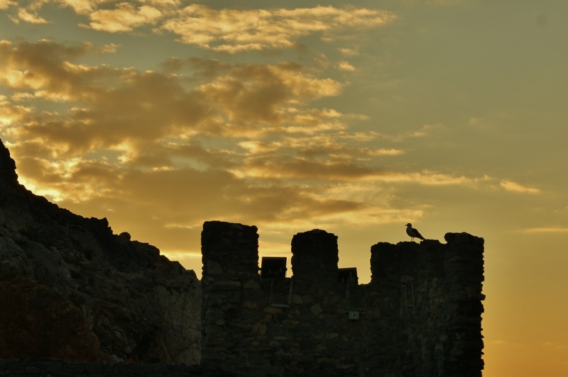 Clicca per l'immagine full size