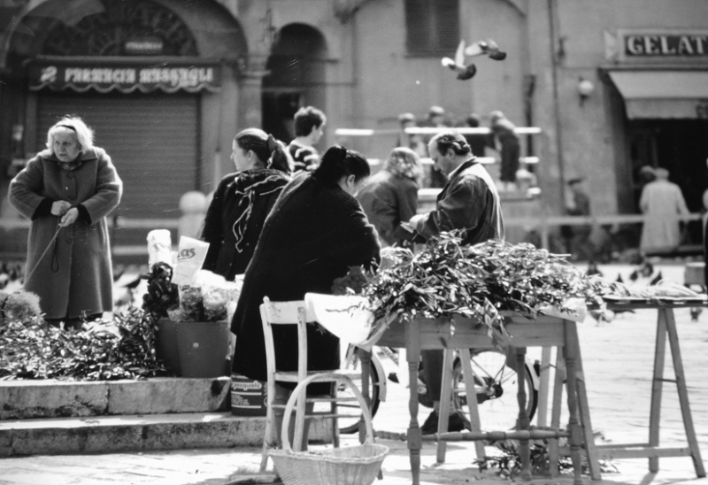 Clicca per l'immagine full size