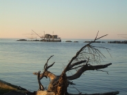 DSCF0088.JPG