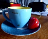 Nome File=caffè___habanero_2.JPG
Dimensione File=145KB
Dimensioni=1000x813
Data aggiunta=Feb 27, 2021 caffè___habanero_2.JPG