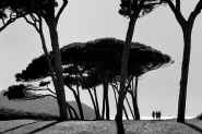 Nome File=Baratti-2014.jpg
Dimensione File=240KB
Dimensioni=800x532
Data aggiunta=Ago 05, 2014 Baratti-2014.jpg