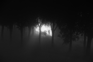 The_Light_of_Loneliness.jpg The_Light_of_Loneliness.jpg