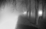 running_into_the_fog.jpg