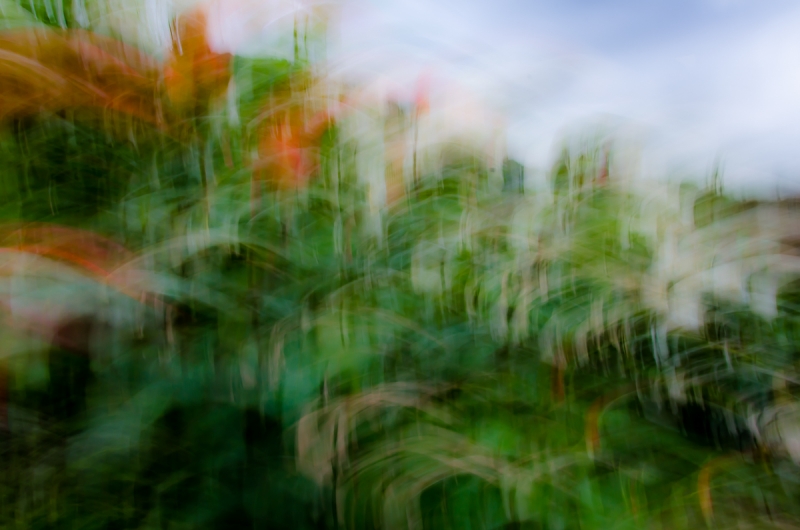 Clicca per l'immagine full size